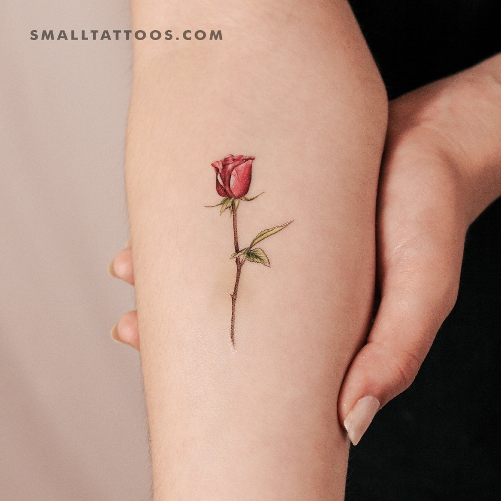 Tatuaje temporal de rosa granate de Mini Lau (juego de 3)
