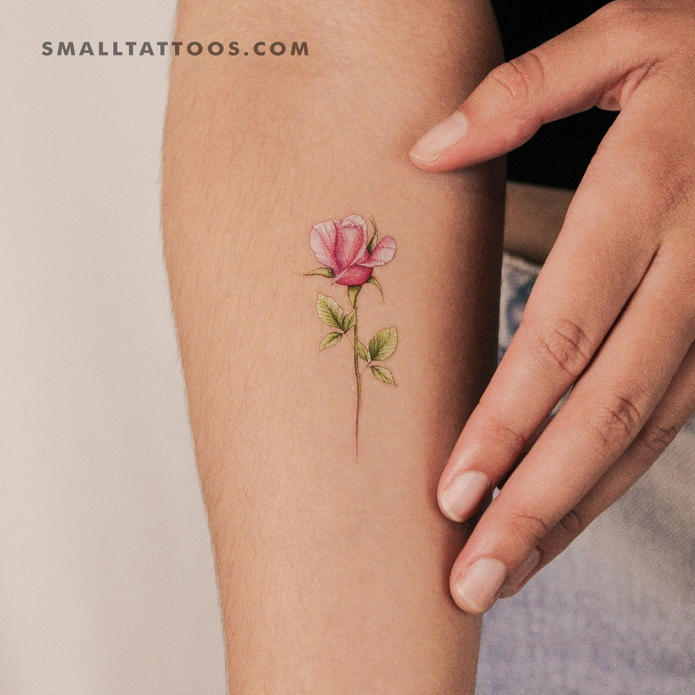 Tatuaje temporal de rosa rosa de Mini Lau (juego de 3)