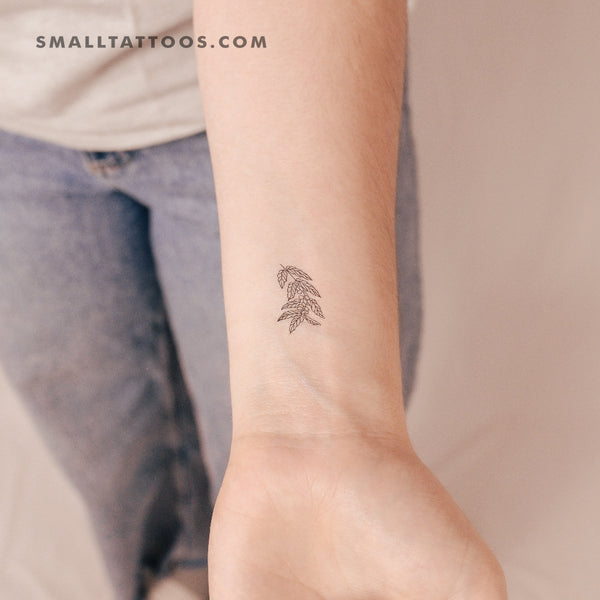 Coffea Plant Temporary Tattoo (Set of 3)