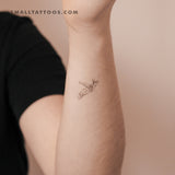 Turtle By Stefano Mazza Temporary Tattoo (Set of 3)