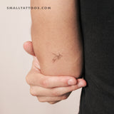 Turtle By Stefano Mazza Temporary Tattoo (Set of 3)