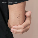 Lily By Stefano Mazza Temporary Tattoo (Set of 3)