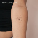 Hand Fan By Stefano Mazza Temporary Tattoo (Set of 3)
