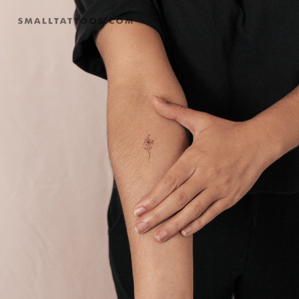 Lily Stargazer By Stefano Mazza Temporary Tattoo (Set of 3)