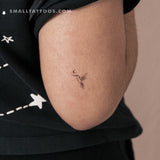 Hummingbird By Stefano Mazza Temporary Tattoo (Set of 3)