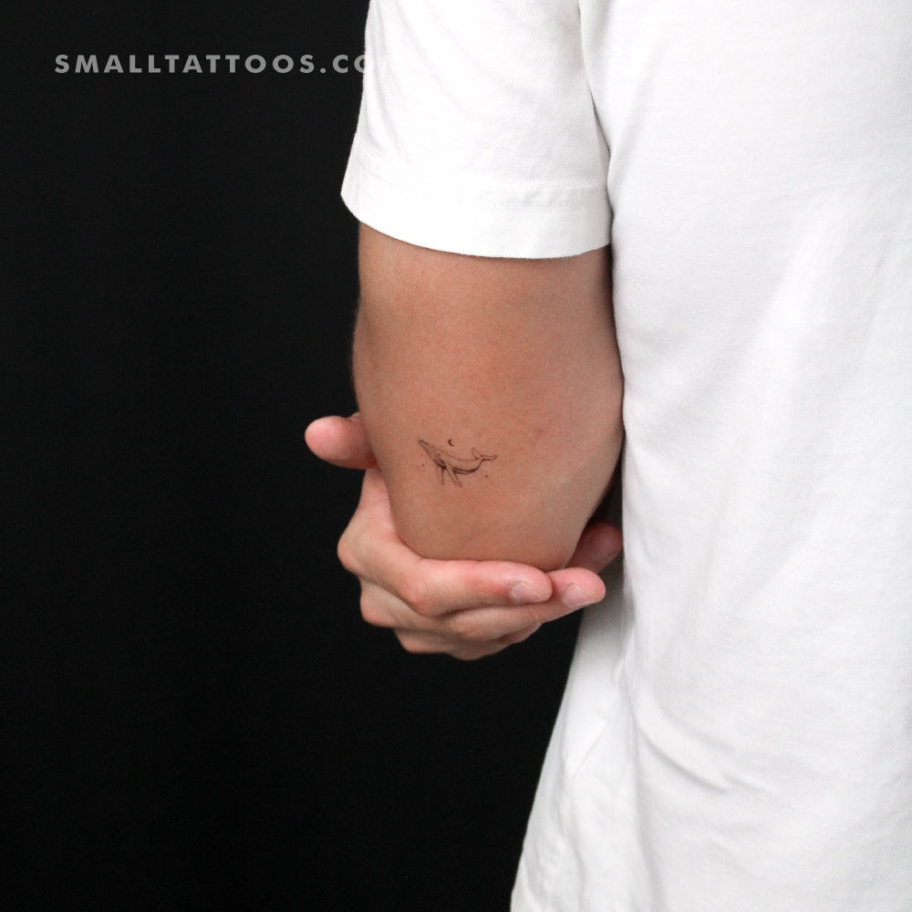 Whale By Stefano Mazza Temporary Tattoo (Set of 3)