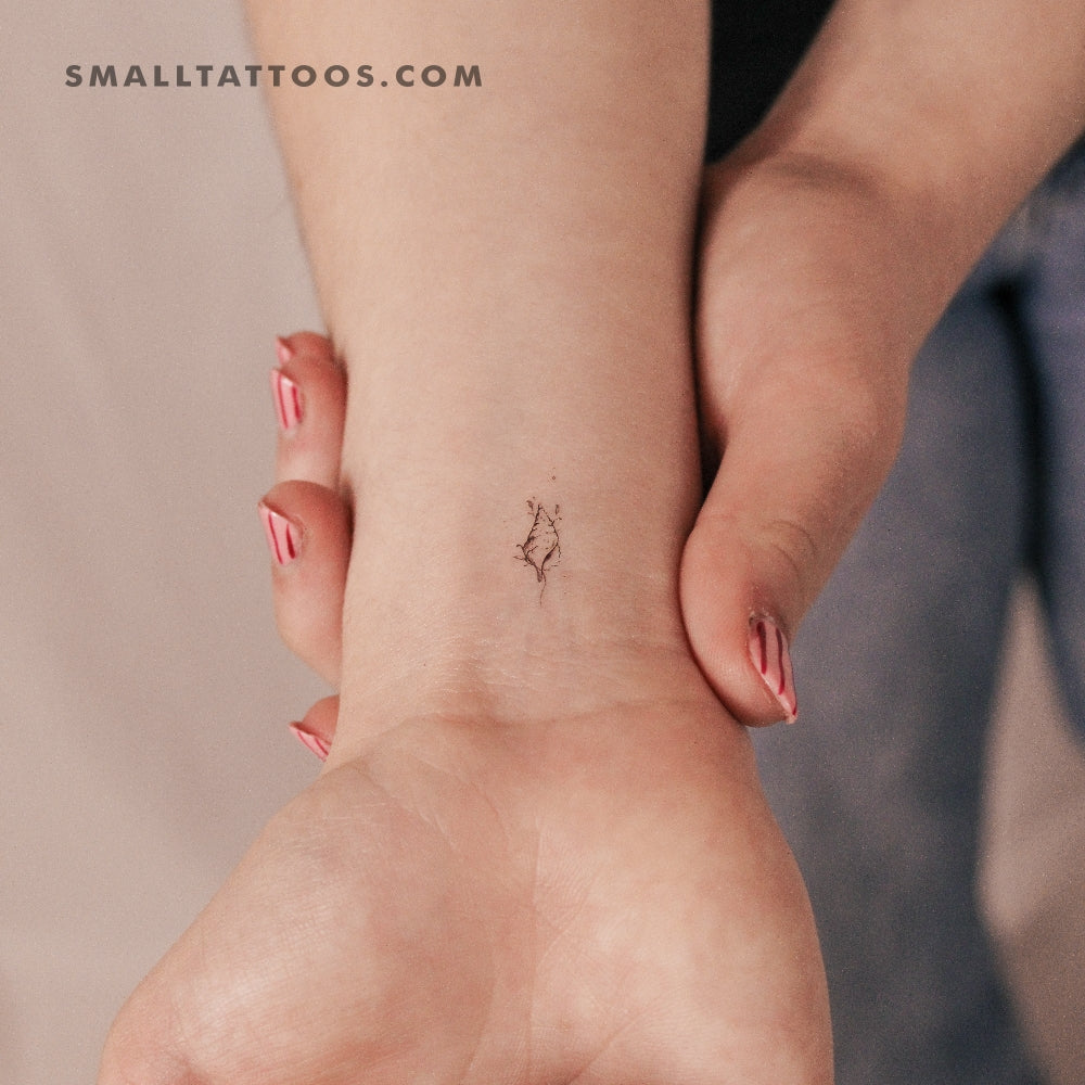 Tulip Shell By Stefano Mazza Temporary Tattoo (Set of 3)