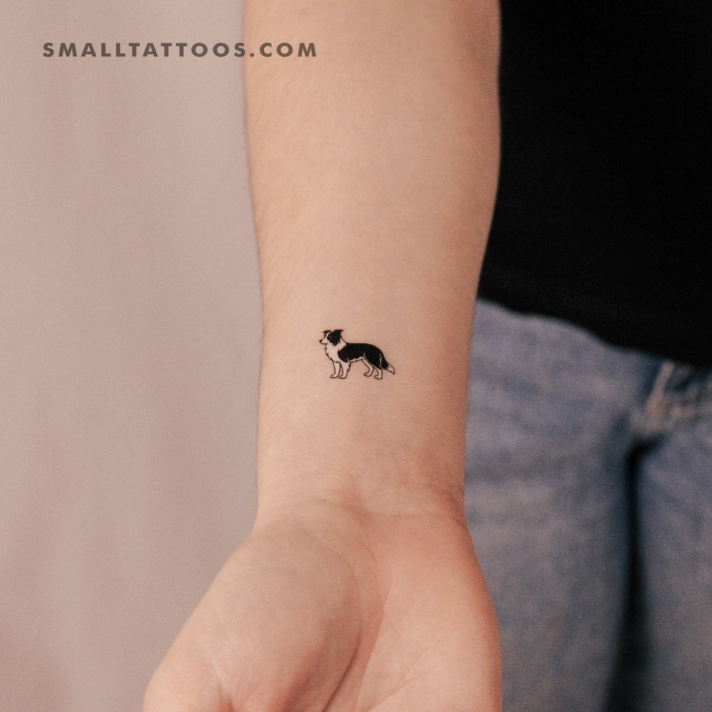 Tatuaje temporal de border collie en blanco y negro (juego de 3)