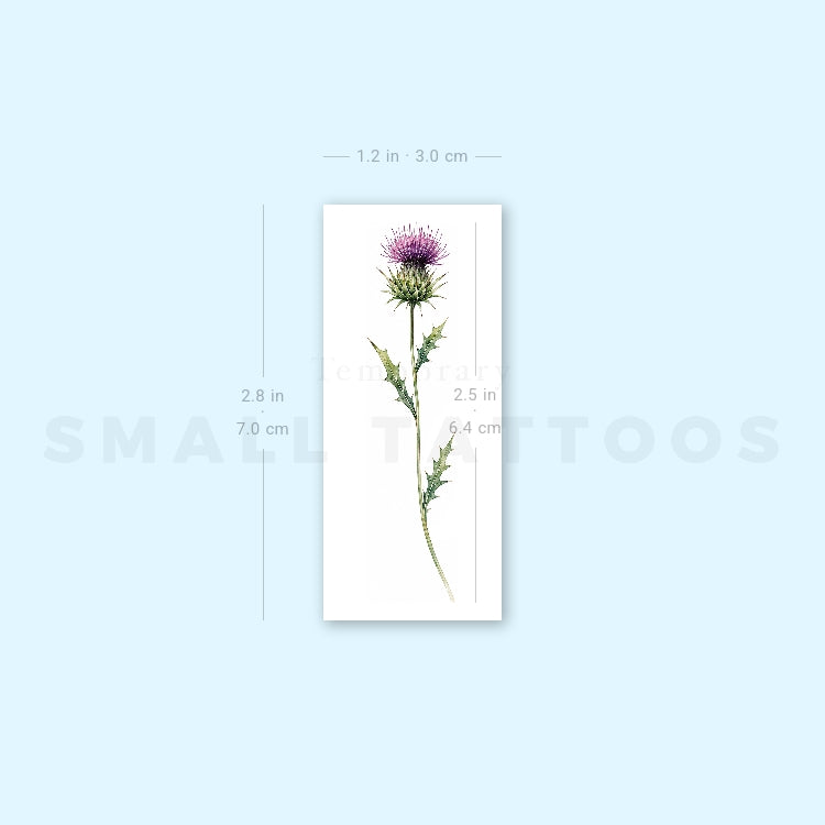 Watercolor Thistle Temporary Tattoo (Set of 3)