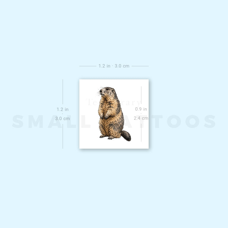 Watercolor Marmot Temporary Tattoo (Set of 3)