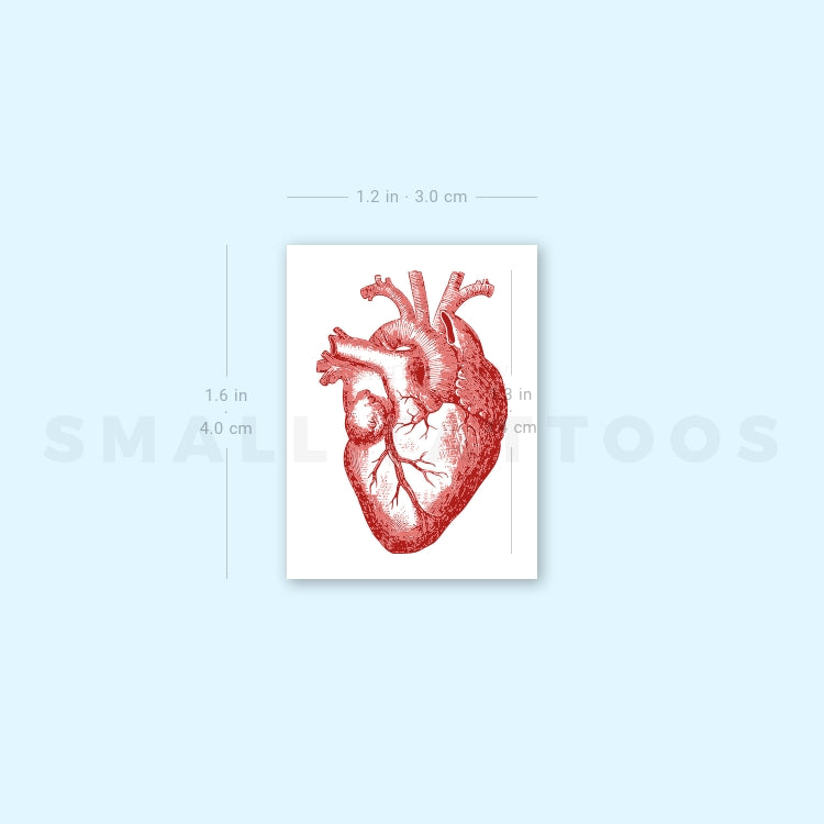 Red Anatomical Heart Temporary Tattoo (Set of 3)