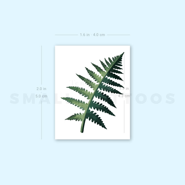 Small Fern Frond By Ann Lilya Temporary Tattoo (Set of 3)