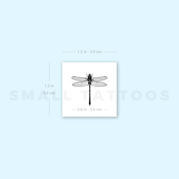 Little Illustrative Dragonfly Temporary Tattoo (Set of 3)