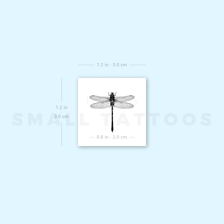 Little Illustrative Dragonfly Temporary Tattoo (Set of 3)