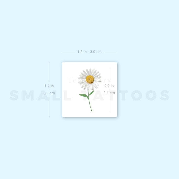 Small Daisy Temporary Tattoo (Set of 3)