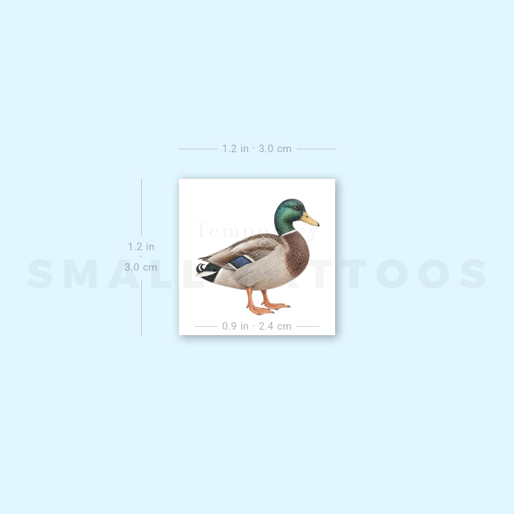 Mallard Temporary Tattoo (Set of 3)