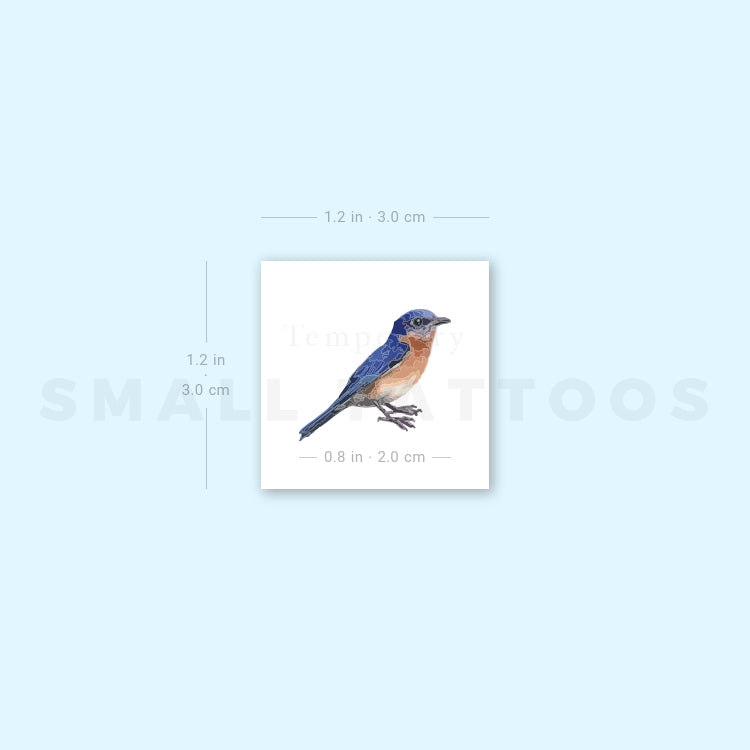 Eastern Bluebird Temporary Tattoo (Set of 3)