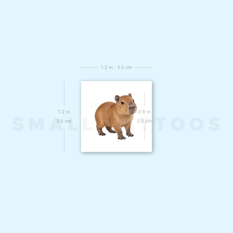 Capybara Temporary Tattoo (Set of 3)