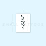 Eucalyptus Temporary Tattoo (Set of 3)