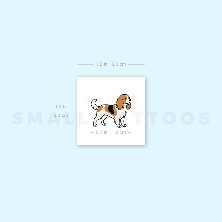 Tatuaje temporal de Cavalier King Charles Spaniel (juego de 3)