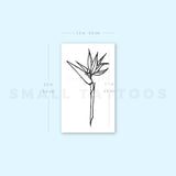 Fine Line Bird Of Paradise Temporary Tattoo (Set of 3)