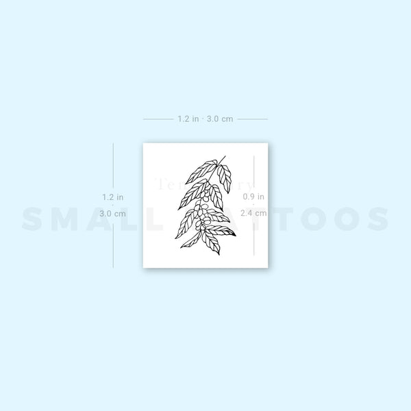 Coffea Plant Temporary Tattoo (Set of 3)