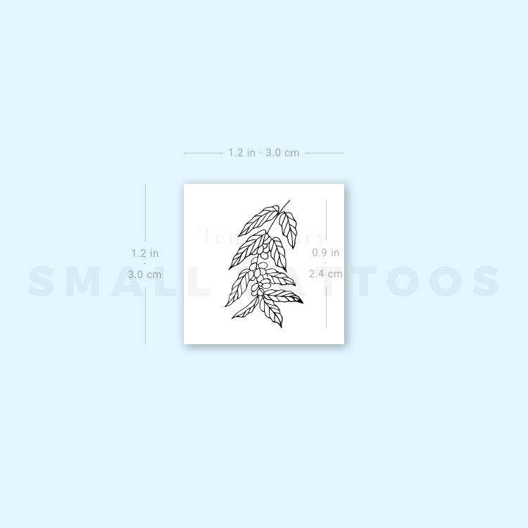 Coffea Plant Temporary Tattoo (Set of 3)