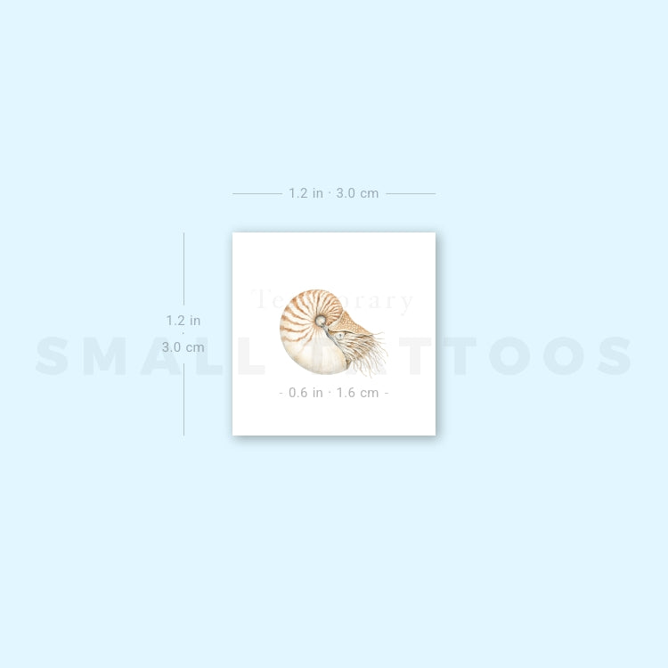 Nautilus Temporary Tattoo (Set of 3)