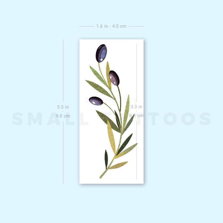 Olive Branch By Ann Lilya Temporary Tattoo (Set of 3)