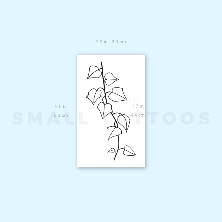 Tatuaje temporal de planta de hiedra (juego de 3)