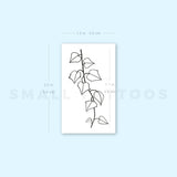 Ivy Plant Temporary Tattoo (Set of 3)