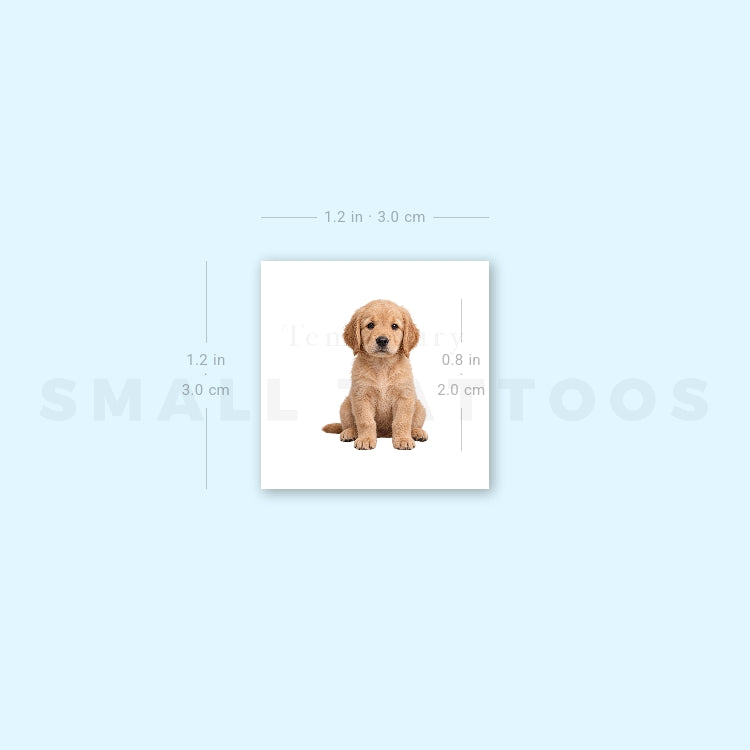 Seated Golden Retriever Puppy Temporary Tattoo (Set of 3)