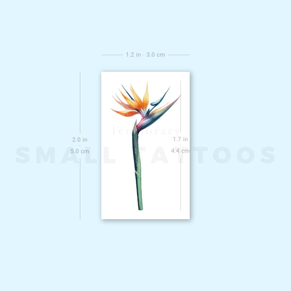 Watercolor Bird Of Paradise Temporary Tattoo (Set of 3)