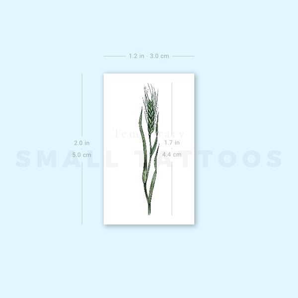 Small Green Wheat By Ann Lilya Temporary Tattoo (Set of 3)
