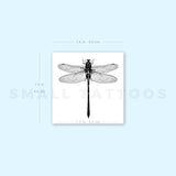 Illustrative Dragonfly Temporary Tattoo (Set of 3)