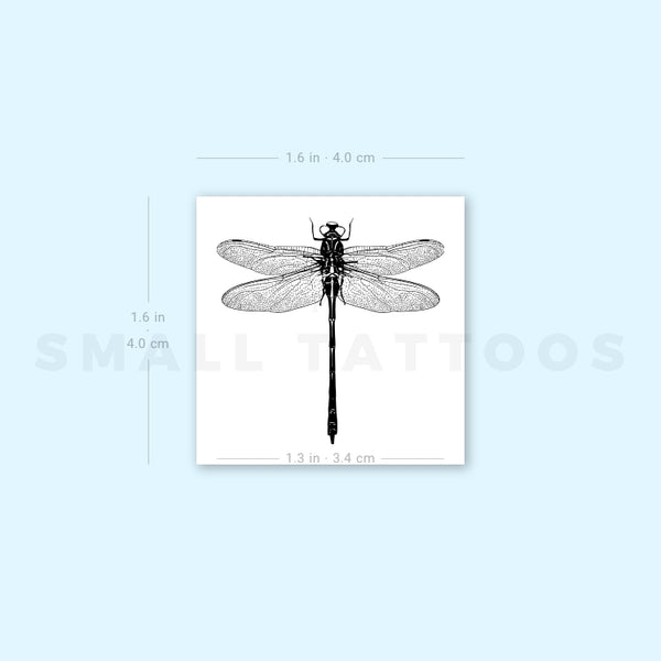 Illustrative Dragonfly Temporary Tattoo (Set of 3)