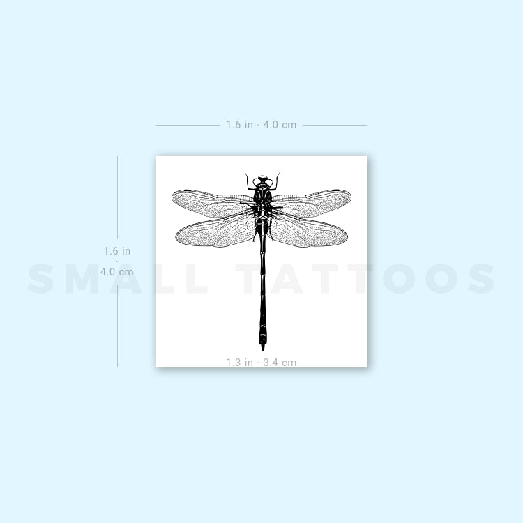 Illustrative Dragonfly Temporary Tattoo (Set of 3)