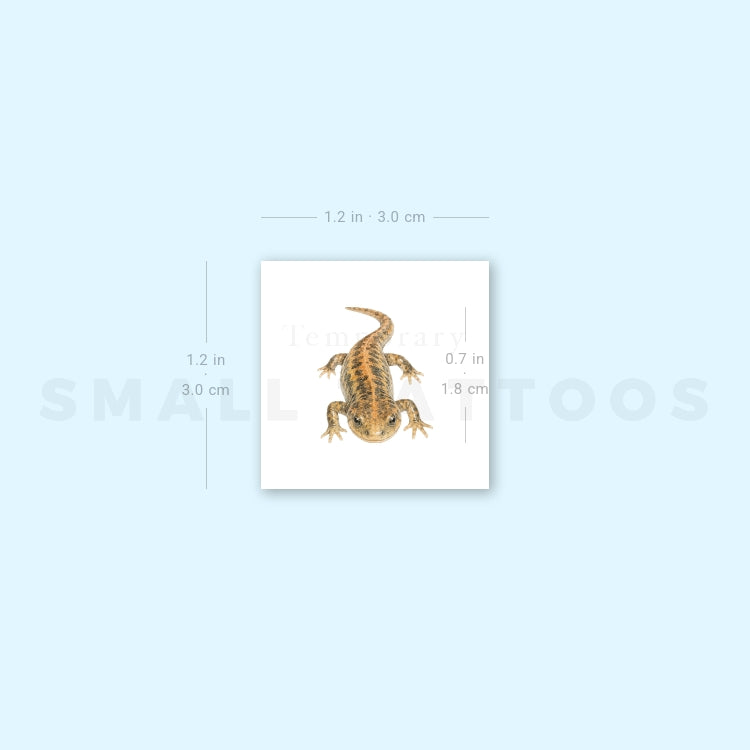 Salamander Temporary Tattoo (Set of 3)