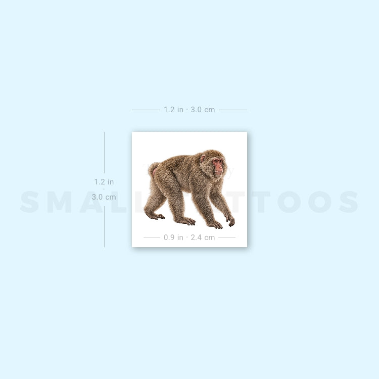 Macaque Temporary Tattoo (Set of 3)