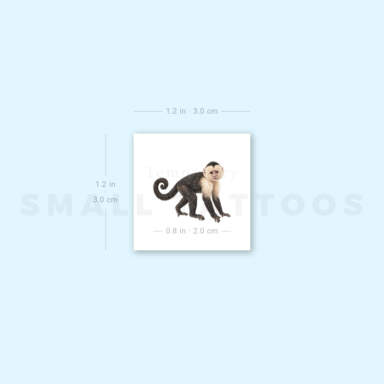 Capuchin Monkey Temporary Tattoo (Set of 3)