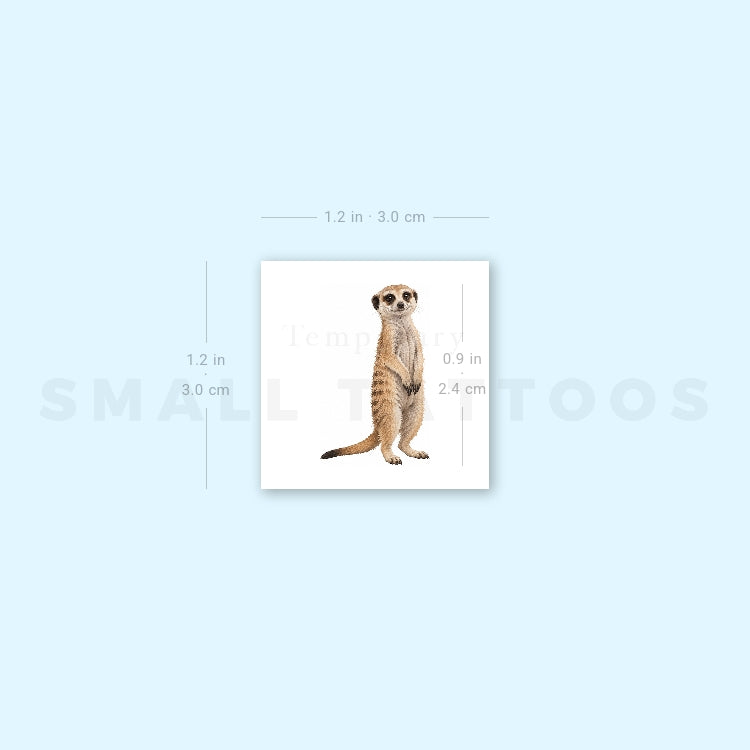 Suricate Temporary Tattoo (Set of 3)