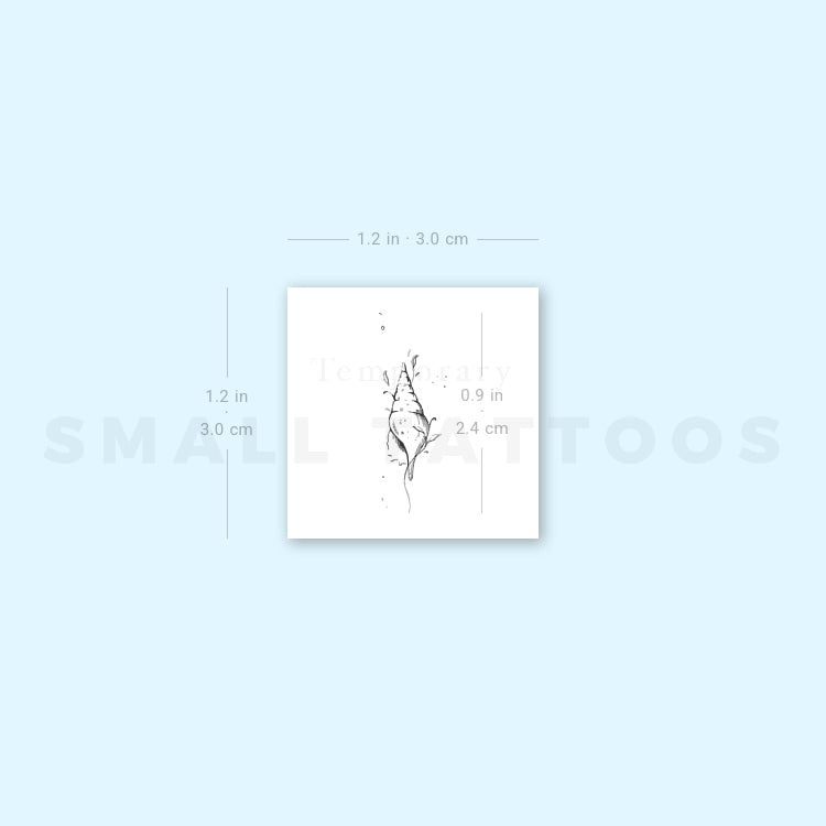 Tulip Shell By Stefano Mazza Temporary Tattoo (Set of 3)