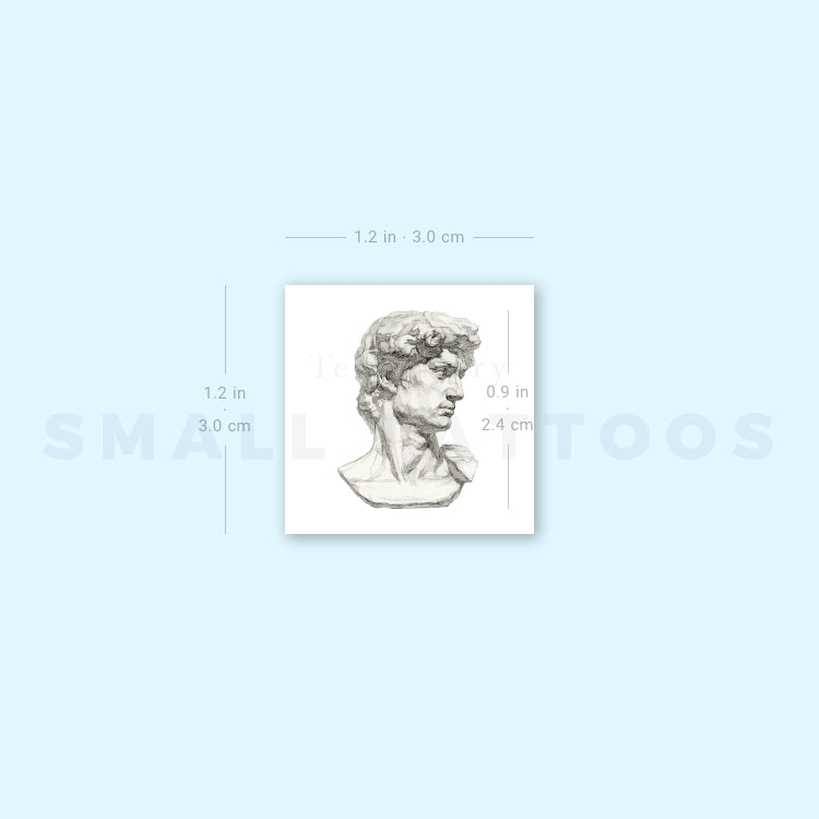 Michelangelo's David Head Temporary Tattoo (Set of 3)