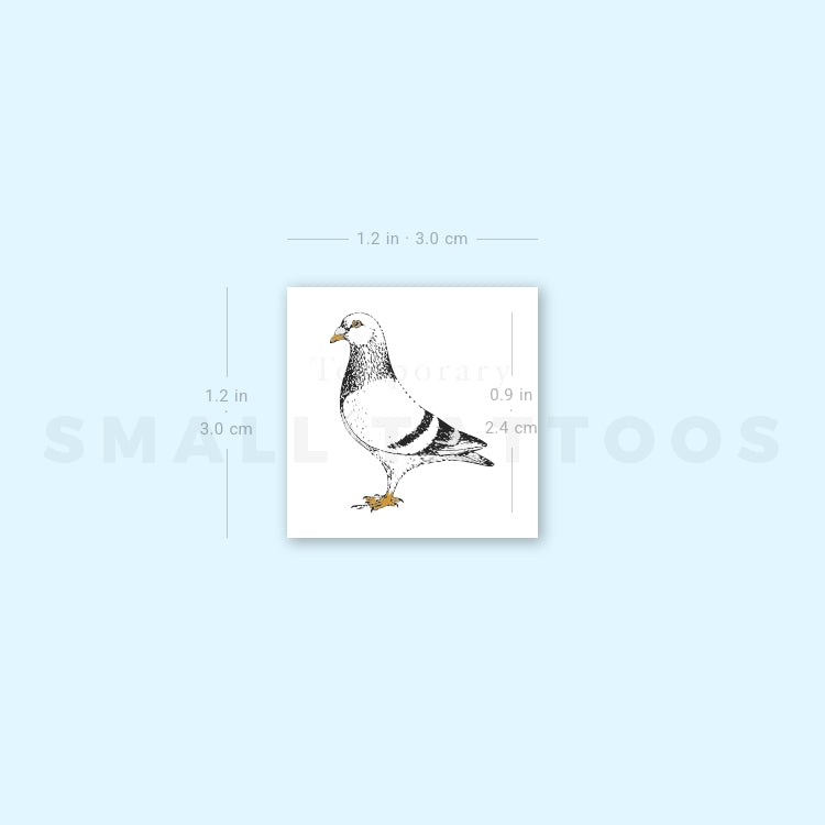 NYC Pigeon Temporary Tattoo (Set of 3)