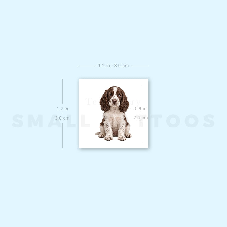 Springer Spaniel Puppy Temporary Tattoo (Set of 3)