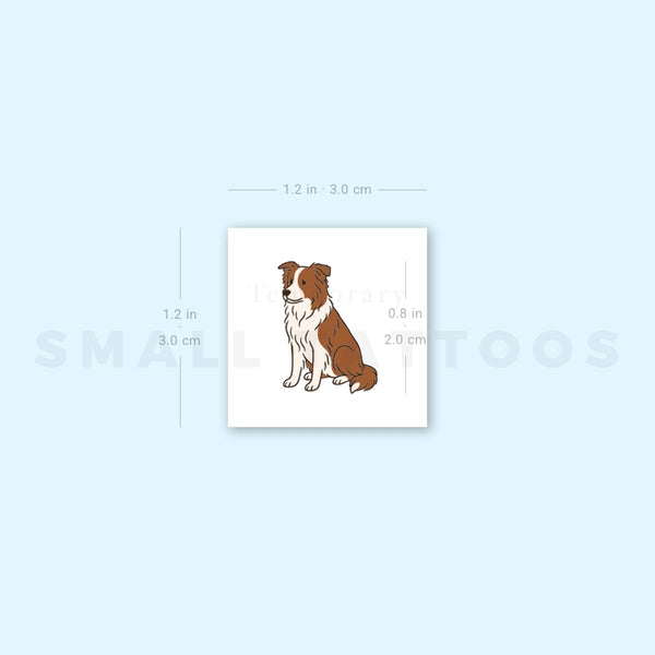 Chocolate Border Collie Temporary Tattoo (Set of 3)