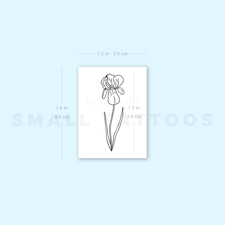 Iris Temporary Tattoo (Set of 3)