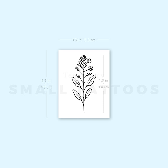 mustard seed plant tattoo Mustard Plant Temporary Tattoo (Set of 3) – Small Tattoos