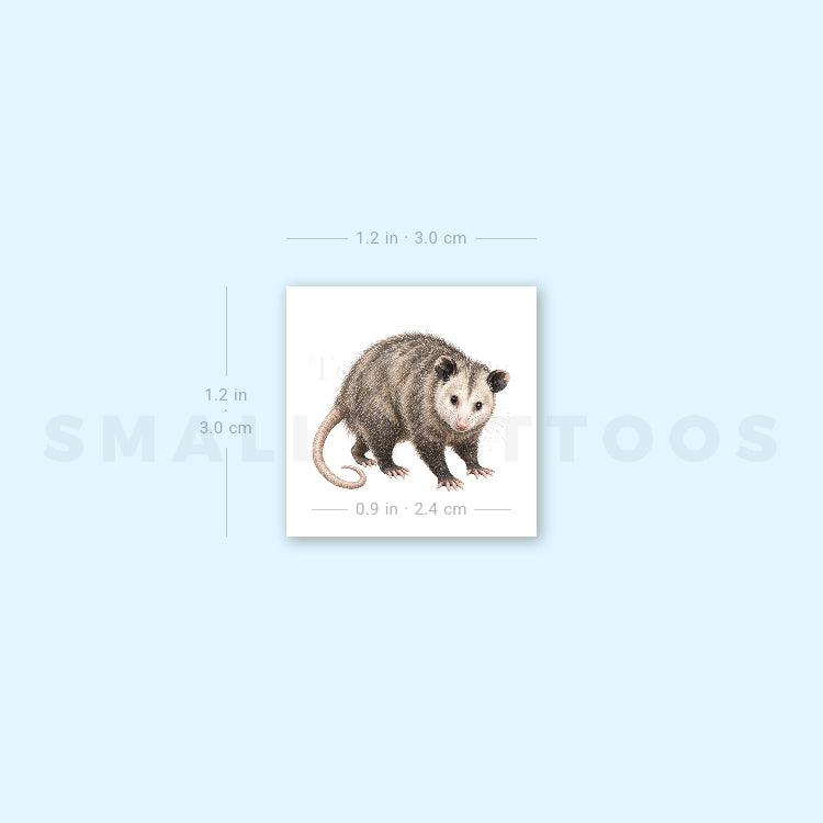 Opossum Temporary Tattoo (Set of 3)