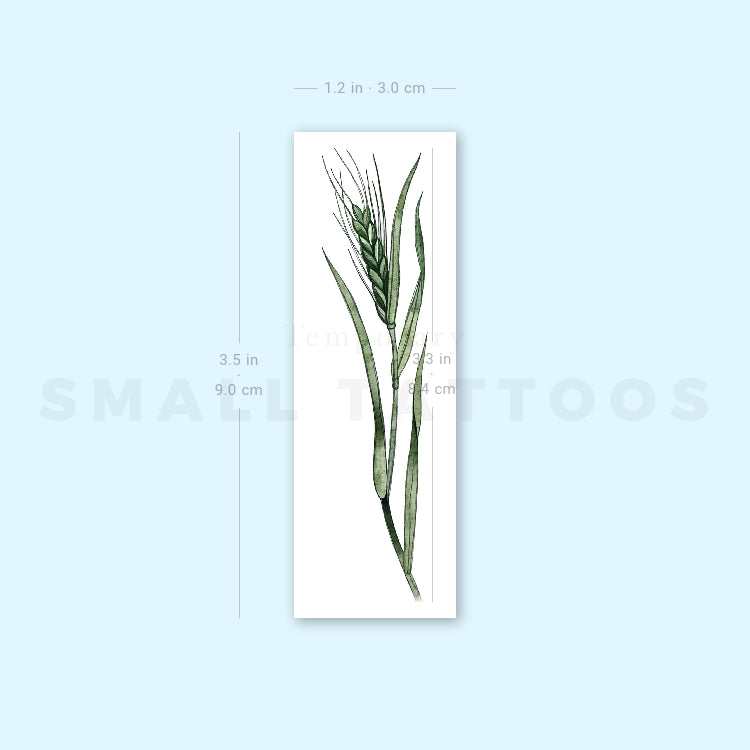 Green Wheat By Ann Lilya Temporary Tattoo (Set of 3)